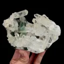 specimen video