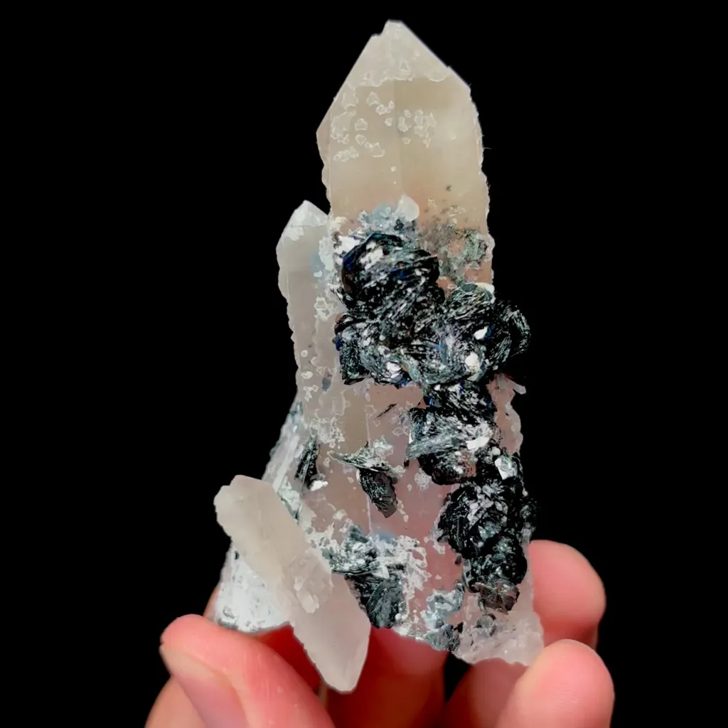 specimen video