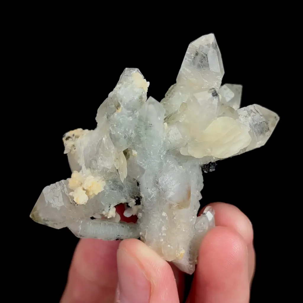 specimen video
