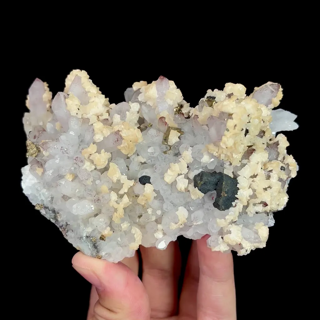 specimen video