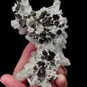 Natural Quartz Cluster comes from Inner Mongolia,China 60*100*40MM - image 4
