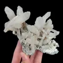 specimen video