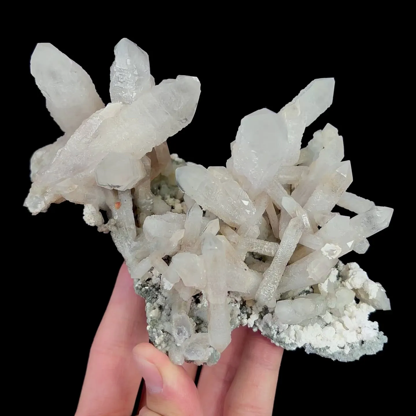 specimen video