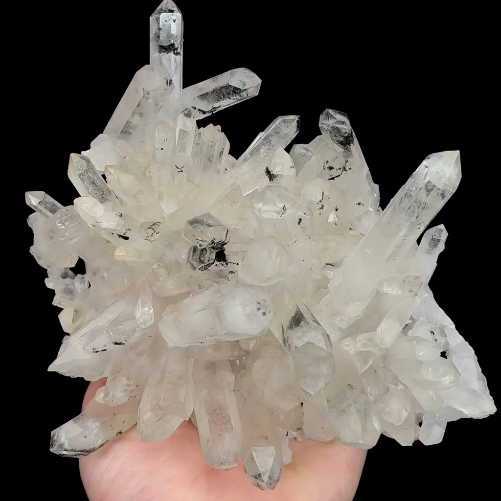 specimen video