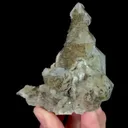 specimen video