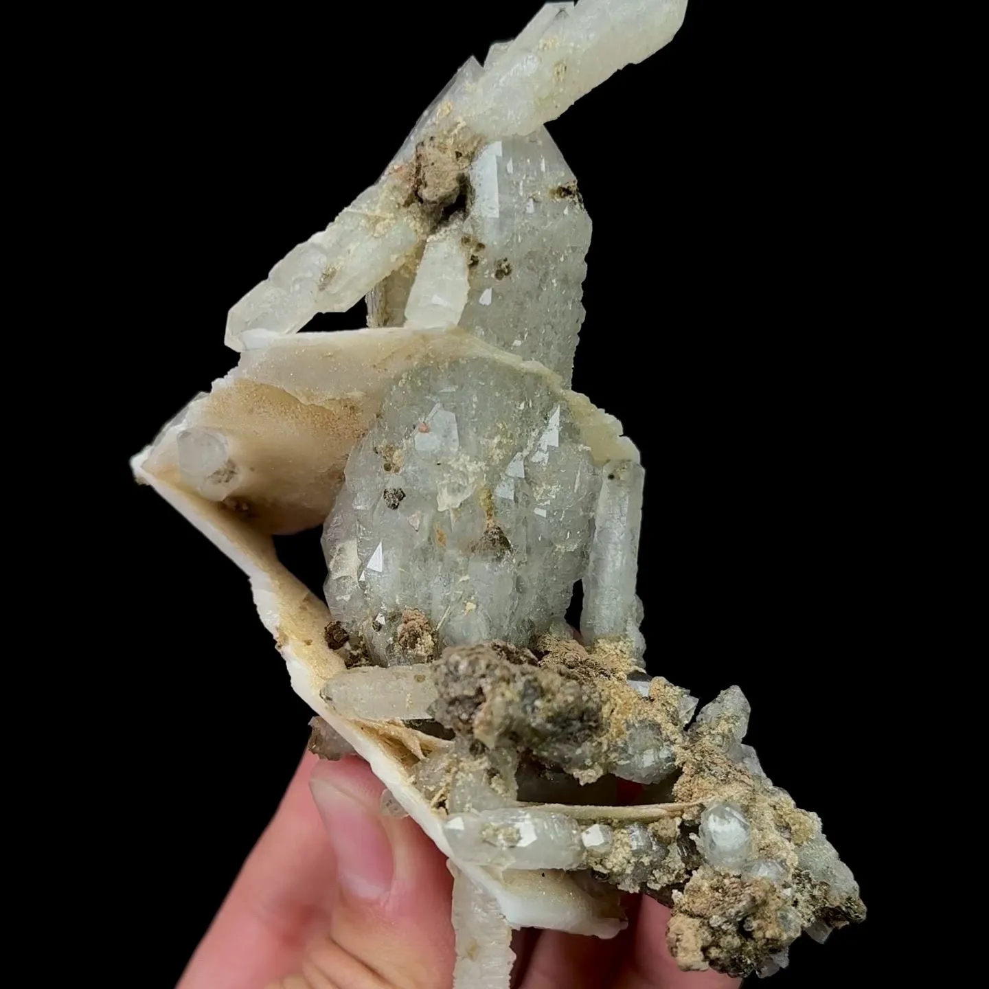 specimen video