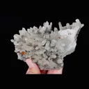 Natural Quartz Cluster & Scheelite and Calcite. Mineral Specimen: Inner Mongolia,China (120*80*60MM) - image 2
