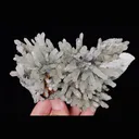 Natural Quartz Cluster & Scheelite and Calcite. Mineral Specimen: Inner Mongolia,China (120*80*60MM) - image 5