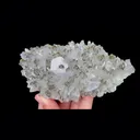 Natural Quartz Cluster with Calcite and Pyrite, Mineral Specimen: Fujian,China (145*70*35MM) - image 2