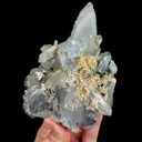 specimen video
