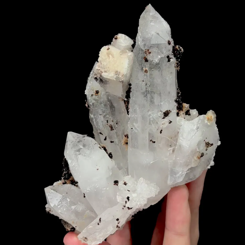 specimen video