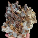specimen video