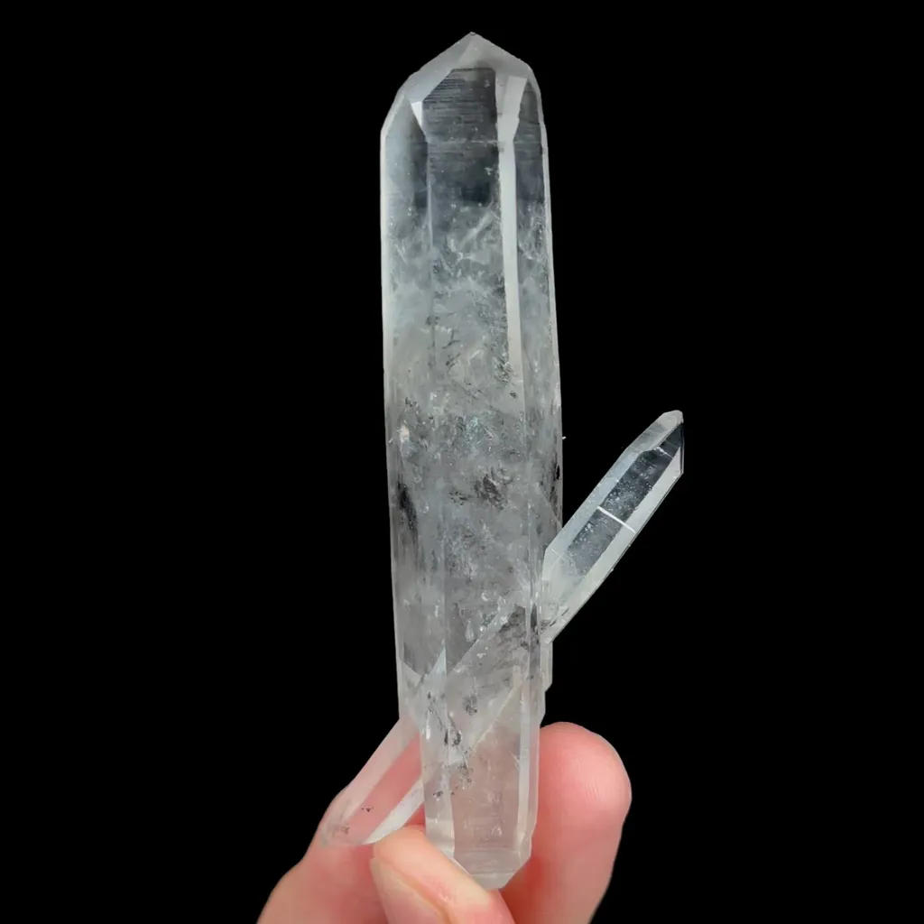 specimen video