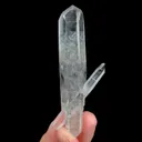 specimen video