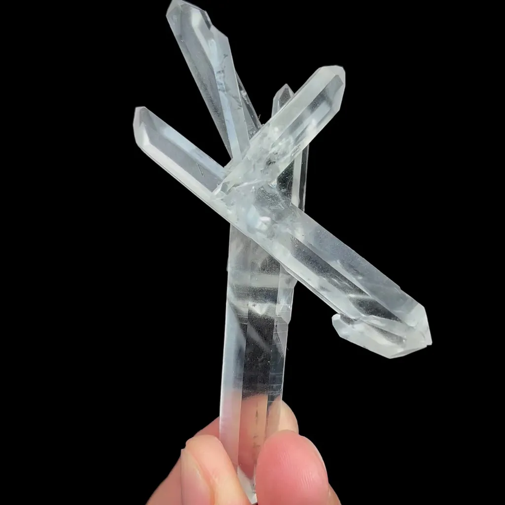 specimen video