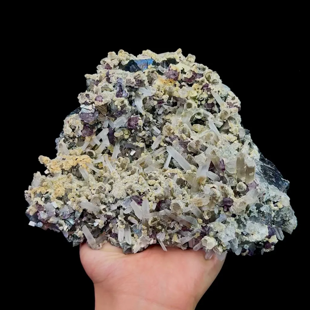 specimen video