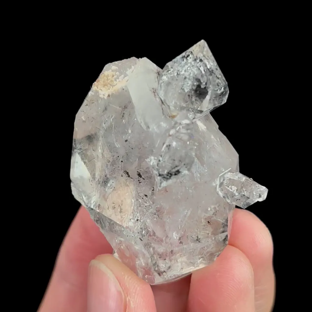 specimen video