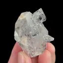 specimen video