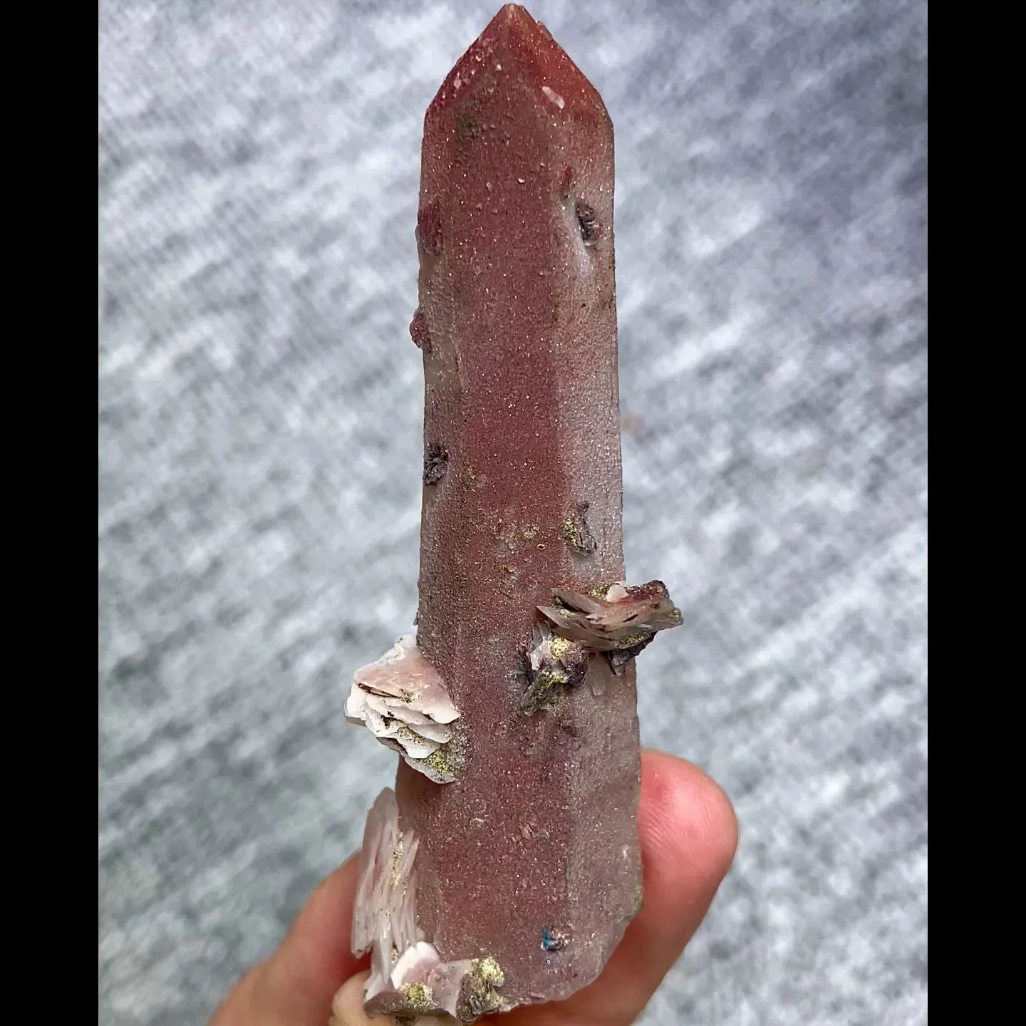 specimen video