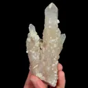 specimen video