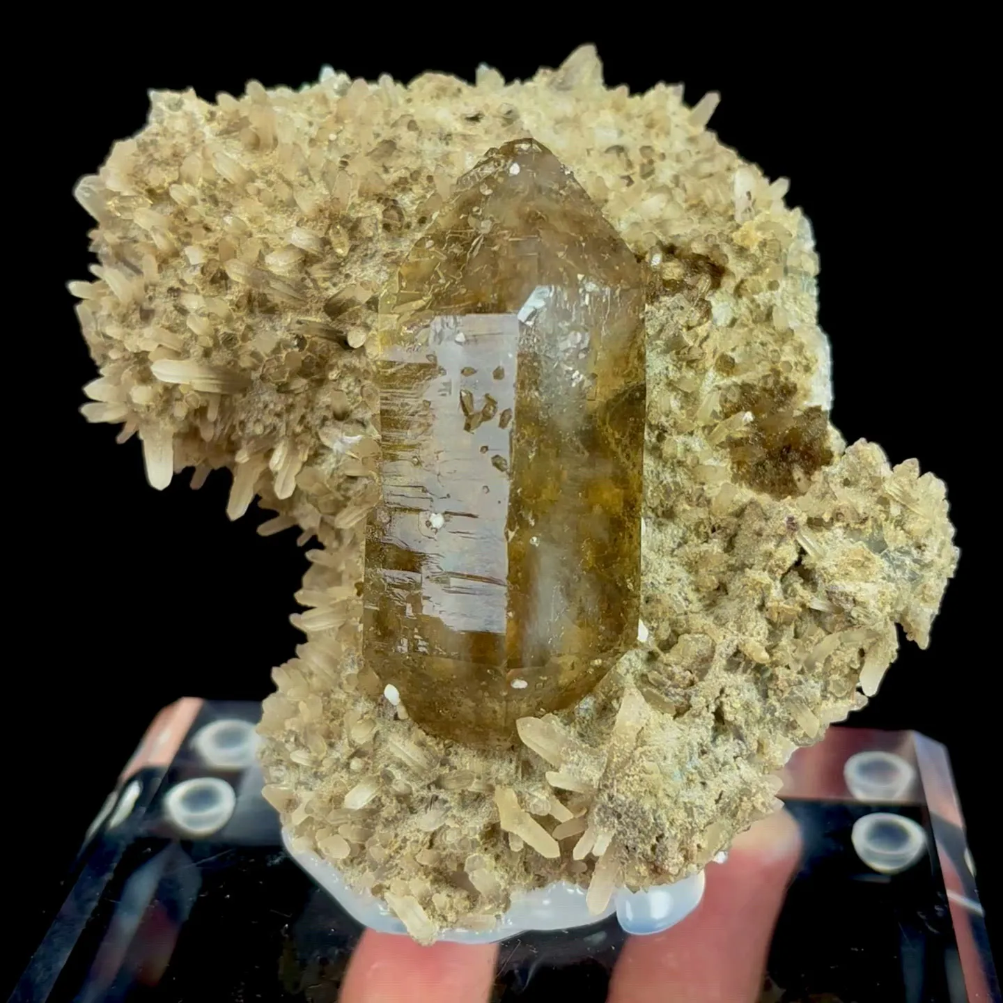 specimen video