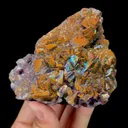 specimen video