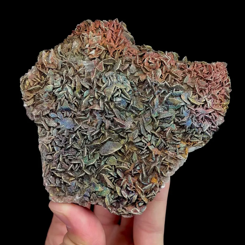 specimen video