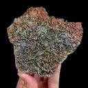 specimen video