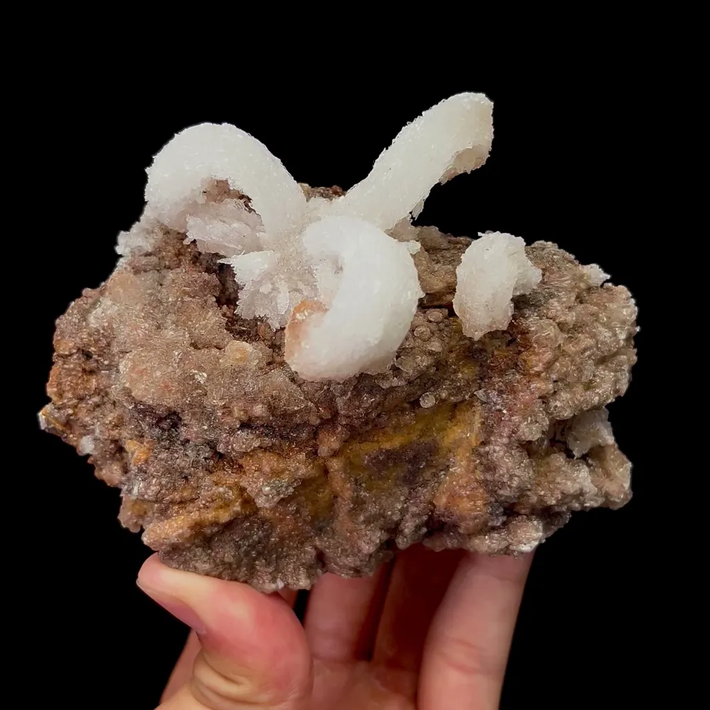 Natural Ram Horn Gypsum Mineral Specimen,High Quality Specimen,GUIZHOU,CHINA(112*50*88mm) image