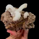 Natural Ram Horn Gypsum Mineral Specimen,High Quality Specimen,GUIZHOU,CHINA(112*50*88mm) - image 4