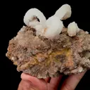 Natural Ram Horn Gypsum Mineral Specimen,High Quality Specimen,GUIZHOU,CHINA(112*50*88mm) - image 2