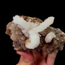 Natural Ram Horn Gypsum Mineral Specimen,High Quality Specimen,GUIZHOU,CHINA(112*50*88mm) - image 3