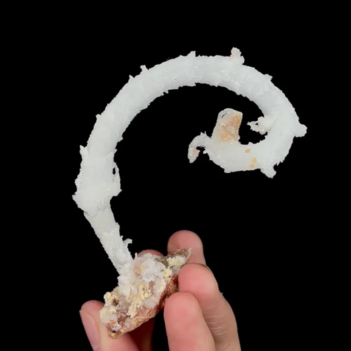 Natural Ram’s Horn Gypsum, Mineral Specimen:Guizhou,China (70*30*65MM) image