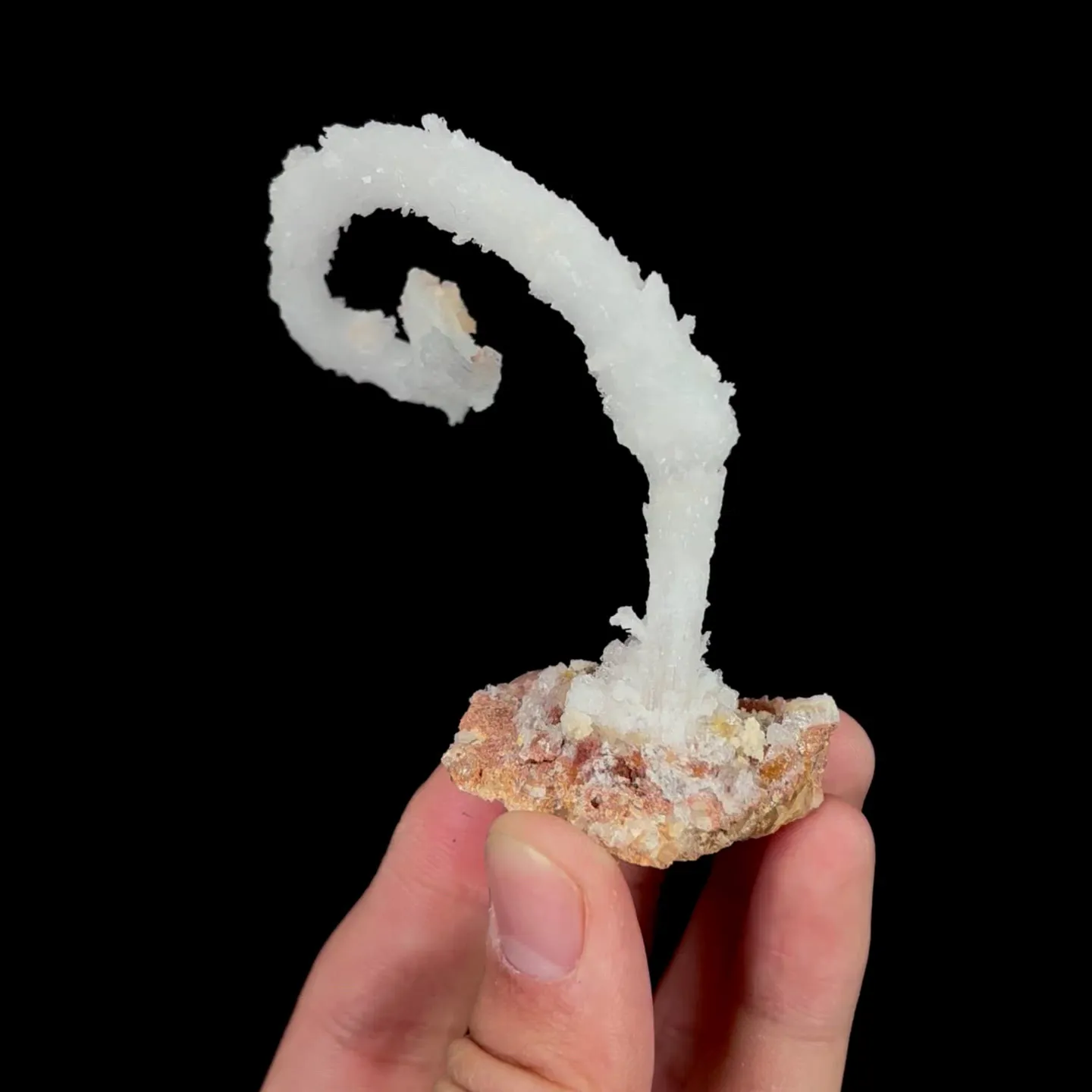 specimen video