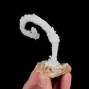 Natural Ram’s Horn Gypsum, Mineral Specimen:Guizhou,China (70*30*65MM) - image 4