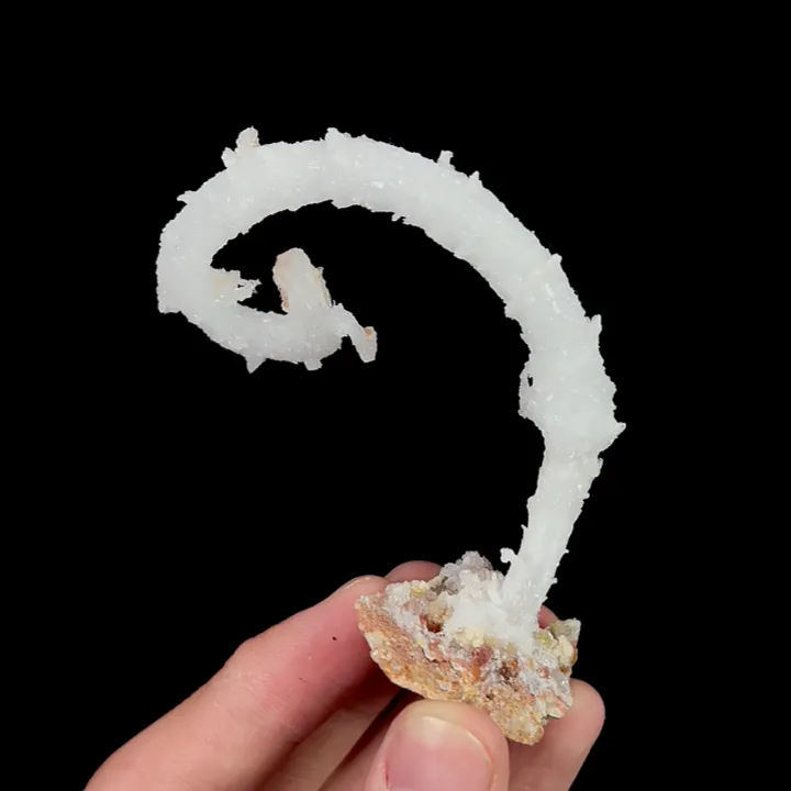 Natural Ram’s Horn Gypsum, Mineral Specimen:Guizhou,China (70*30*65MM) - image 3