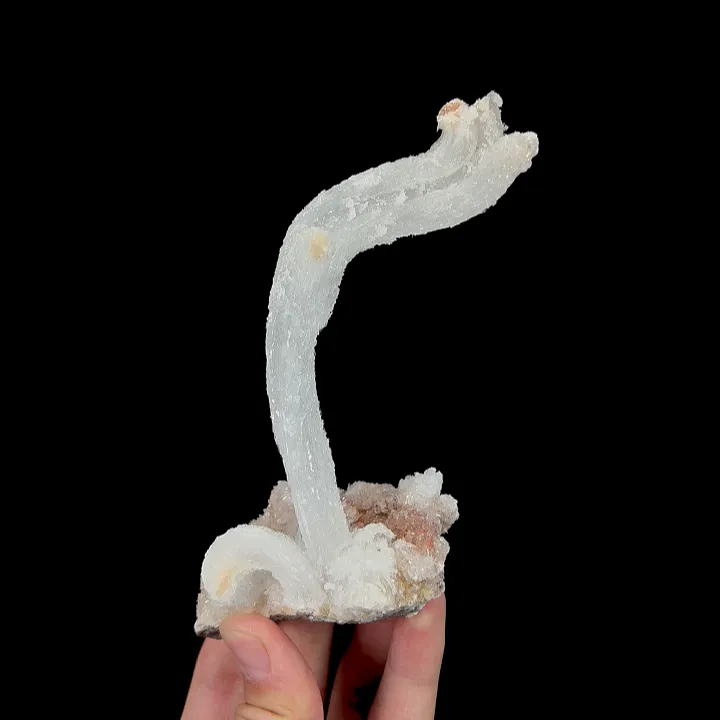 Natural Ram’s Horn Gypsum, Mineral Specimen:Guizhou,China (70*40*130MM) - image 3