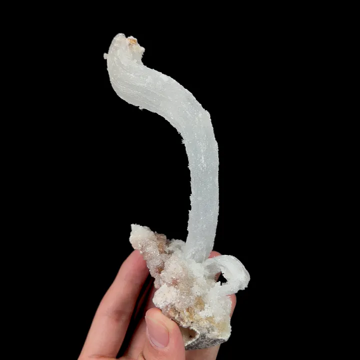 Natural Ram’s Horn Gypsum, Mineral Specimen:Guizhou,China (70*40*130MM) - image 4