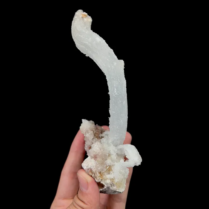 Natural Ram’s Horn Gypsum, Mineral Specimen:Guizhou,China (70*40*130MM) image