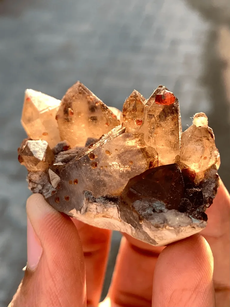 Natural Rare Red Spessartite Garnet Crystals on Somky Quartz Garnet with Matrix Specimen - image 9