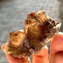 Natural Rare Red Spessartite Garnet Crystals on Somky Quartz Garnet with Matrix Specimen - image 10