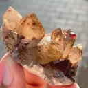 specimen video