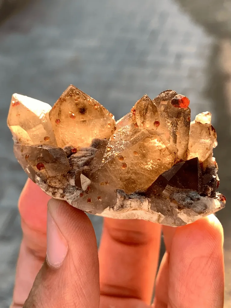 Natural Rare Red Spessartite Garnet Crystals on Somky Quartz Garnet with Matrix Specimen - image 5