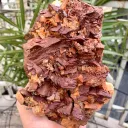 Natural Rare Siderite Cluster with Dolomite Combined Specimen from Pakistan - image 3