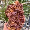 Natural Rare Siderite Cluster with Dolomite Combined Specimen from Pakistan - image 5