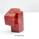 specimen video