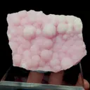specimen video