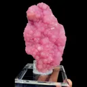 specimen video