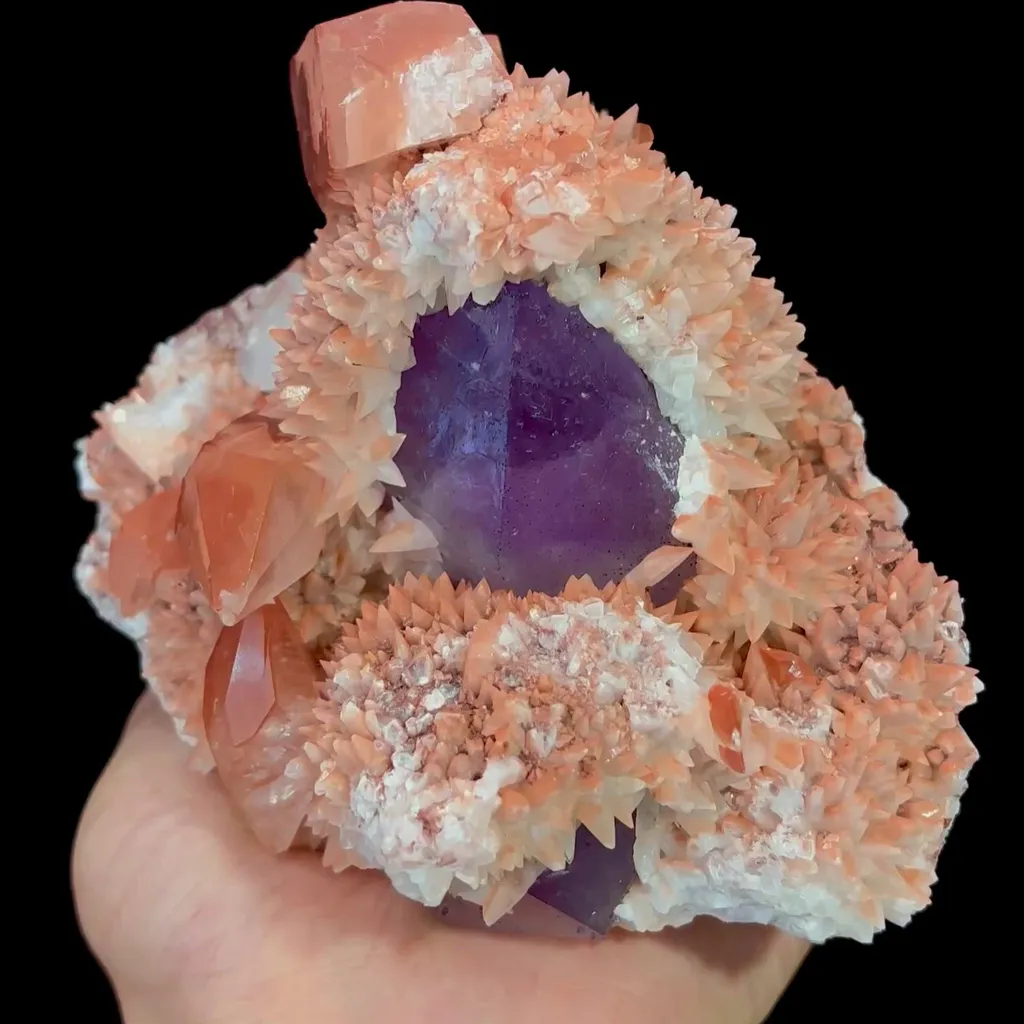 specimen video