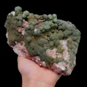 specimen video